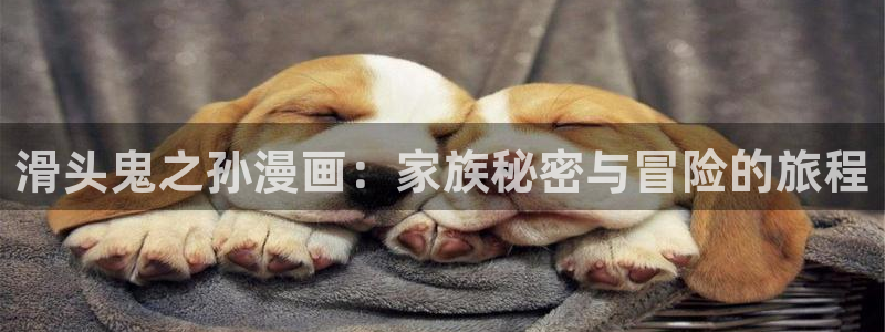 yy漫画免费看全集：滑头鬼之孙漫画：家族秘密与冒险的旅程